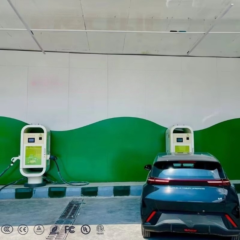 Stasiun Pengisian Daya Cepat S - Fast Ev Charger ulasan dan harga